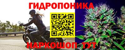 спиды Коммунар