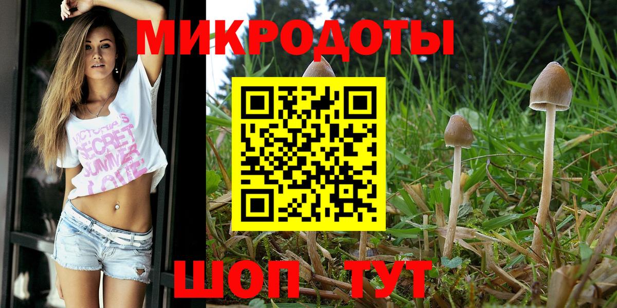 Салехард  Галлюциногенные грибы ЛСД  Псилоцибиновые грибы Cubensis  Вход с VPN 